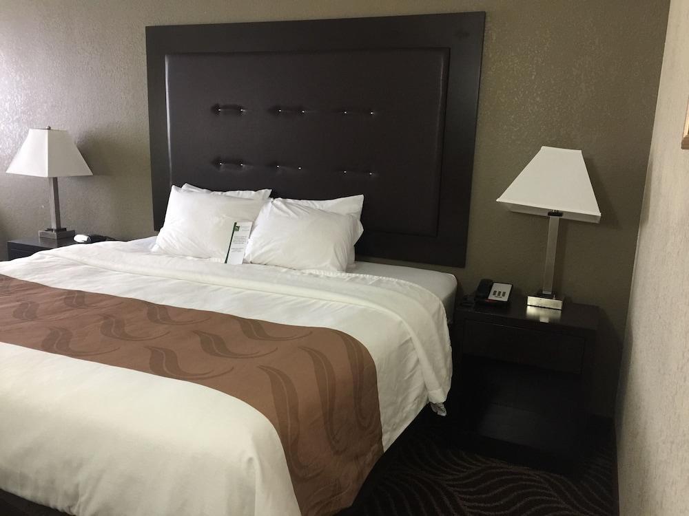 Quality Inn & Suites Florence - Cincinnati South Εξωτερικό φωτογραφία